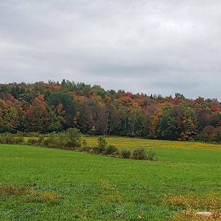Cozy Country Farm Stay Fredonia Εξωτερικό φωτογραφία