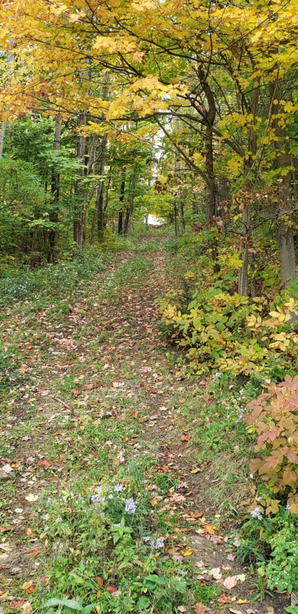 Cozy Country Farm Stay Fredonia Εξωτερικό φωτογραφία