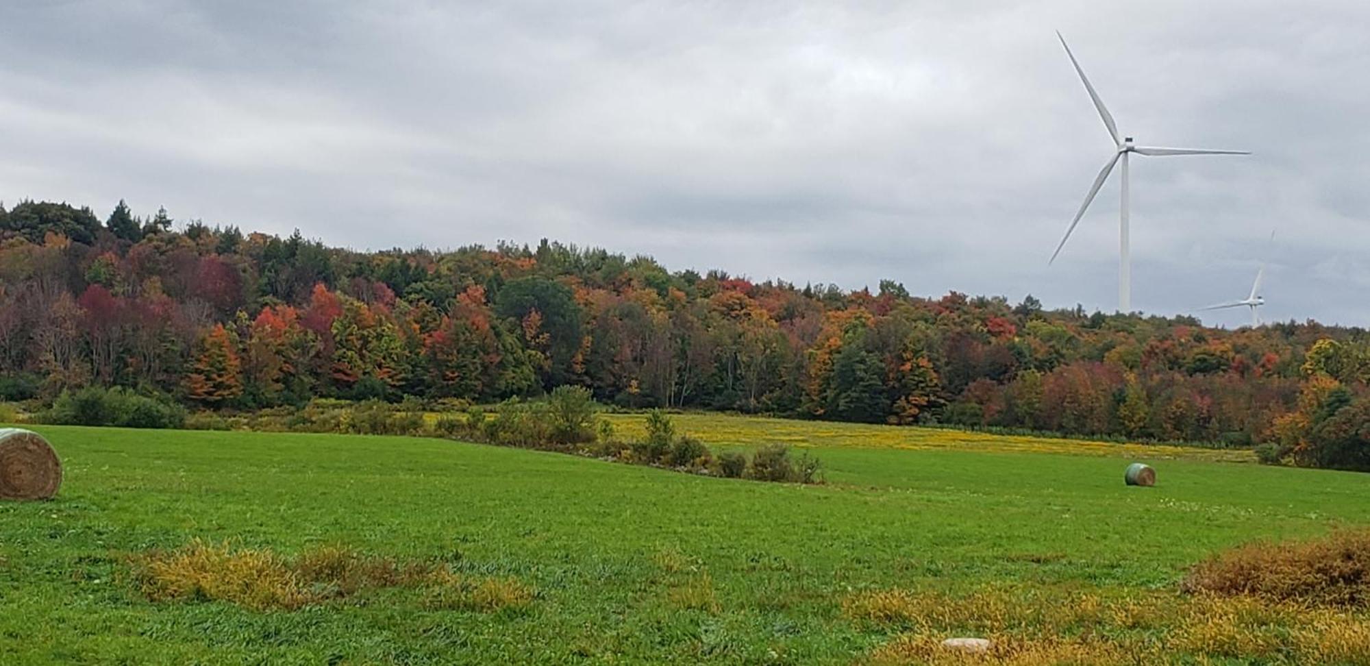 Cozy Country Farm Stay Fredonia Εξωτερικό φωτογραφία